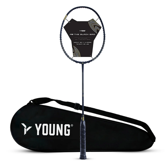 Young Black Bird P11