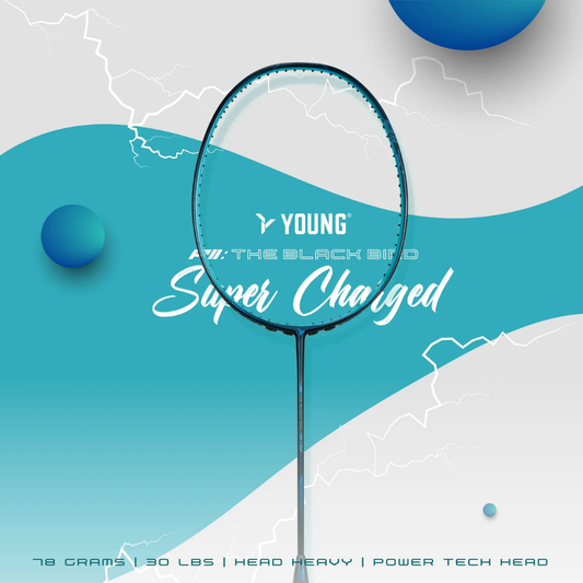 Young Black Bird P11 SP