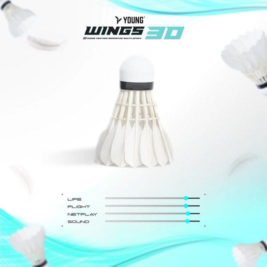Young Wings 30