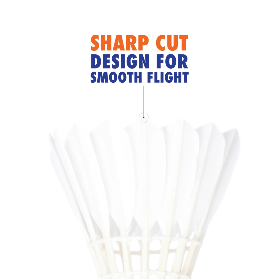 Young Wings 20 – Racket Lounge